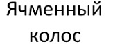 Ячменный колос