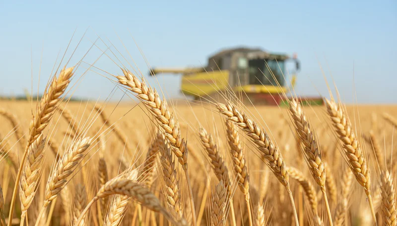 Работа с накладными в Сатурн