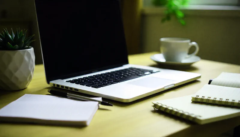 Пример интерфейса личного кабинета Меркурий через ЕСИА