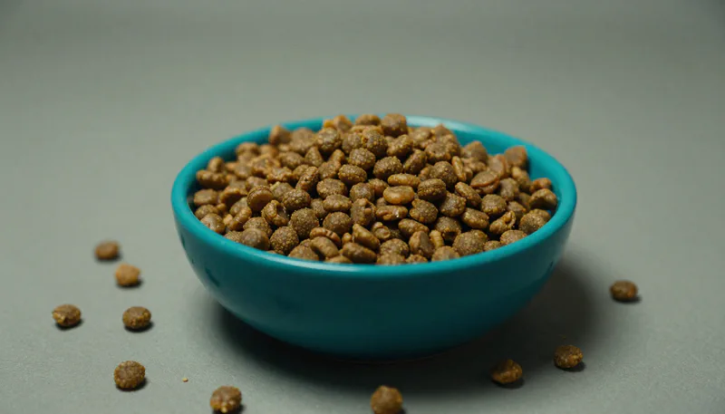 Маркировка кормов и лакомств