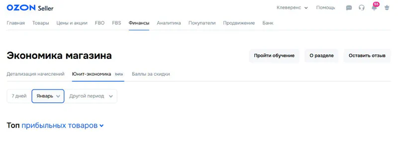 Интерфейс вкладки экономика магазина на Ozon