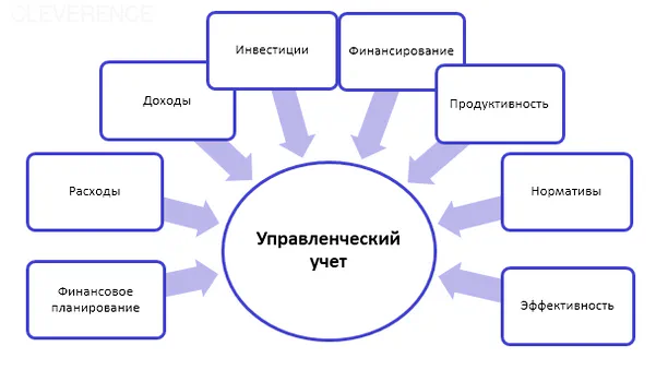 Управленческий учет на предприятии: система, основные задачи, требования, виды, инструменты и показатели