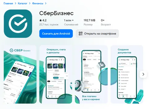 Пример заполнения услуги и суммы в приложении для чеков