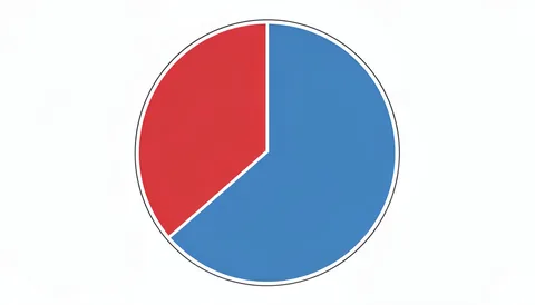 Соотношение собственного и заемного капитала предприятия