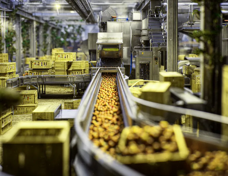 Дезинсекция на предприятии