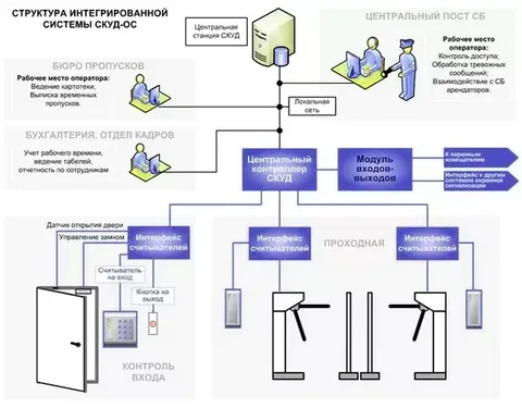 компоненты скуд