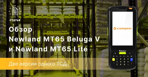 Newland MT65 Beluga V и Newland MT65 Lite — две версии одного ТСД