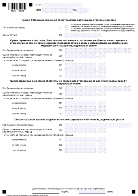 бухгалтерская отчетность