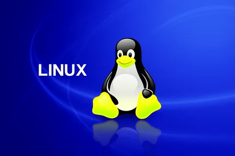 Как установить Линукс: подробное описание установки Linux с нуля