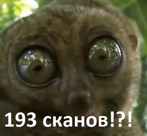 Программное обеспечение и сканирование