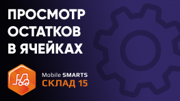 Просмотр остатков в ячейках на ТСД в «Mobile SMARTS: Склад 15»