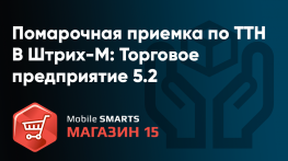 Помарочная приемка в конфигурации Штрих-М: Торговое предприятие 5.2 в программном обеспечении «Mobile SMARTS: Магазин 15» 