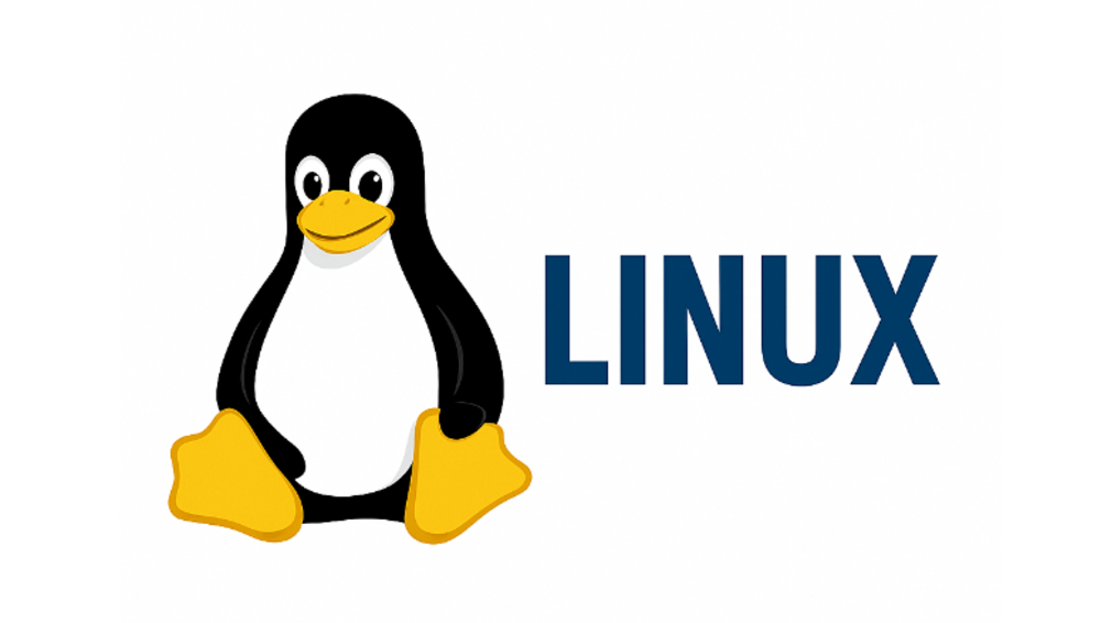 ОС Linux: что это за операционная система и её ключевые преимущества и недостатки