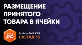 Размещение принятого товара в ячейки на ТСД в ПО «Mobile SMARTS: Склад 15»