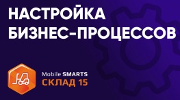 Настройка бизнес-процессов для продукта «Mobile SMARTS: Склад 15»