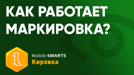 Экстренный выпуск «Mobile SMARTS: Кировка»