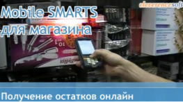 Mobile SMARTS - Онлайн просмотр остатков