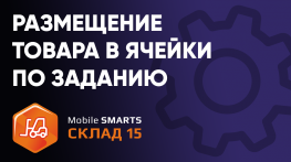 Размещение товара в ячейки, указанные в задании на ТСД в ПО «Mobile SMARTS: Склад 15»