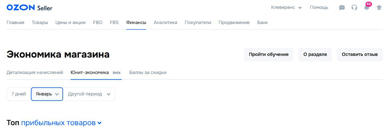 Интерфейс вкладки экономика магазина на Ozon