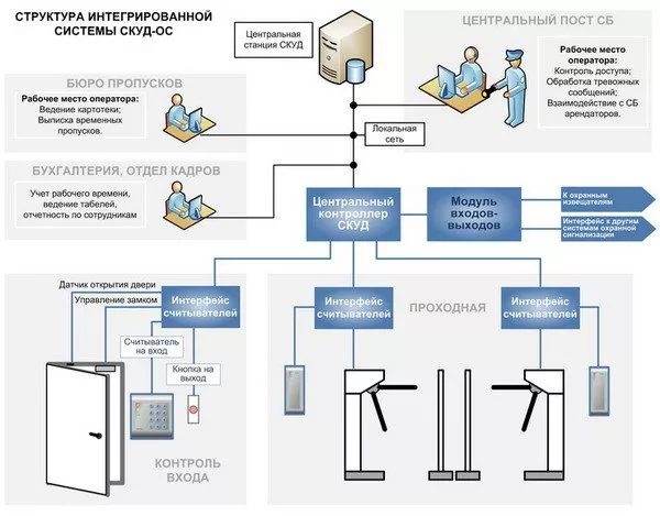 компоненты скуд