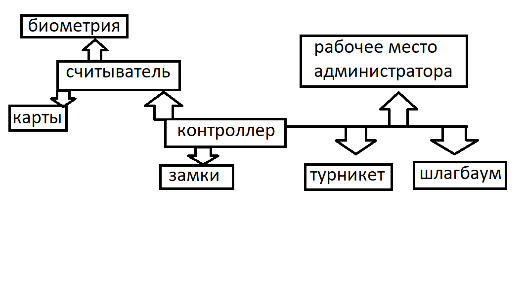 что значит скуд