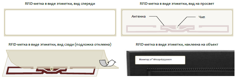 Что такое идентификация, роды и виды